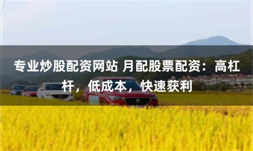 专业炒股配资网站 月配股票配资：高杠杆，低成本，快速获利