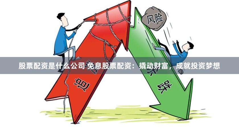 股票配资是什么公司 免息股票配资：撬动财富，成就投资梦想