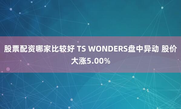 股票配资哪家比较好 TS WONDERS盘中异动 股价大涨5.00%